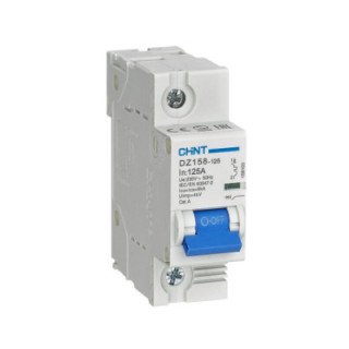 DZ158 10kA 1P 100A pertraukiklis